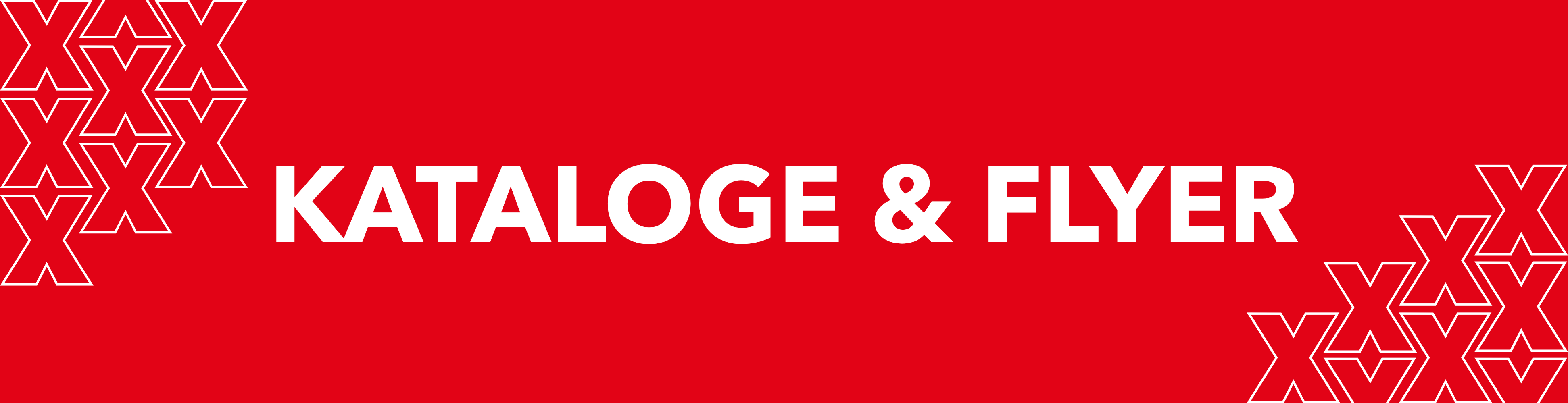 Kataloge + Flyer :: Downloads