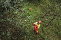 532-887 - GPS-A Élagueuse sur perche