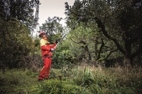 532-887 - GPS-A Élagueuse sur perche