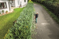 532-888 - GHT-A Heckenschere